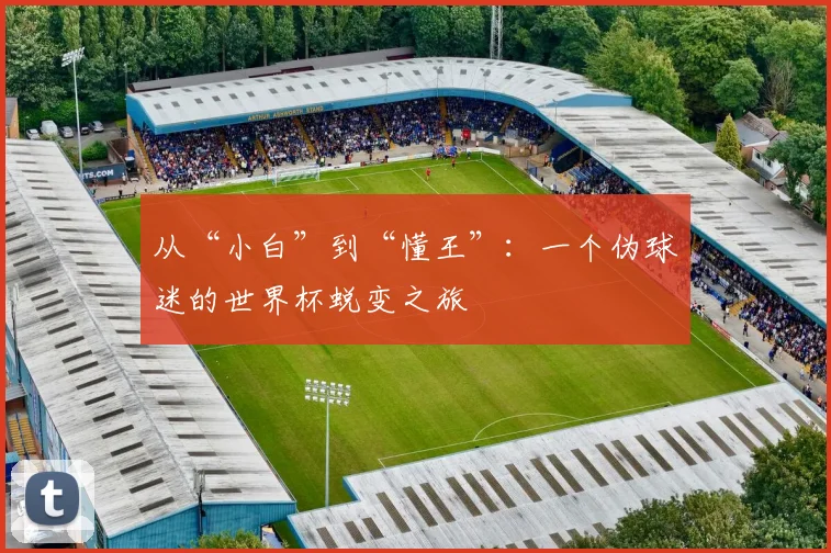 从“小白”到“懂王”：一个伪球迷的世界杯蜕变之旅